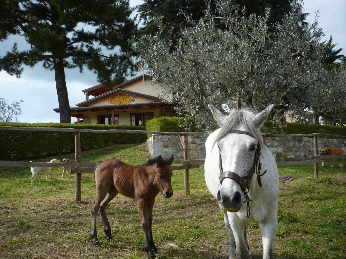 Agriturismo Villa Vea Bellosguardo Esterno foto