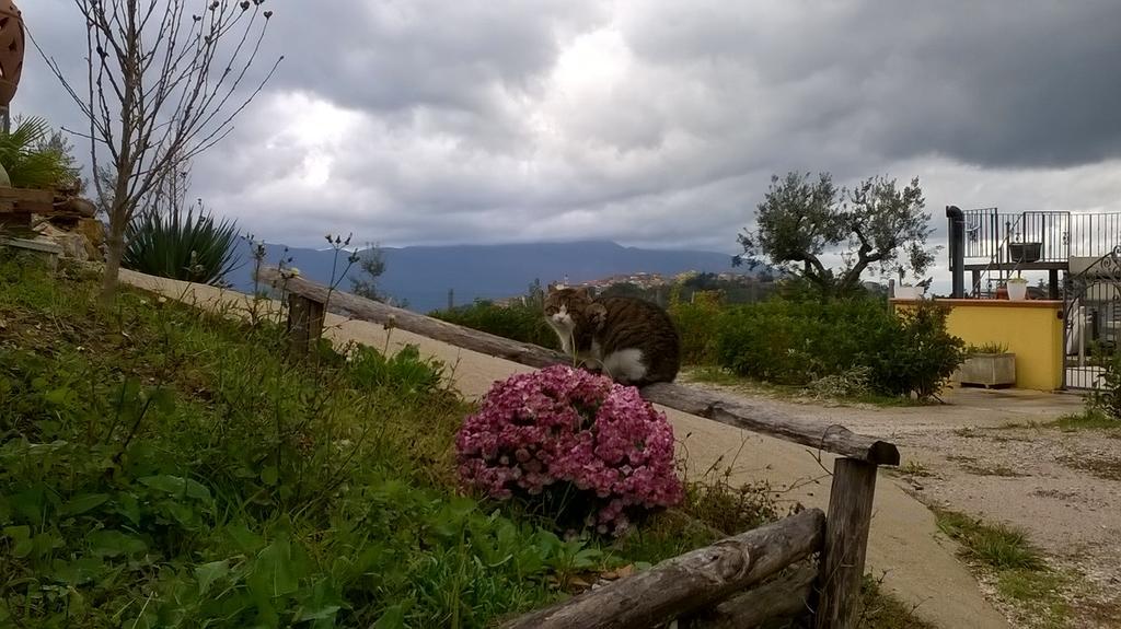 Agriturismo Villa Vea Bellosguardo Esterno foto